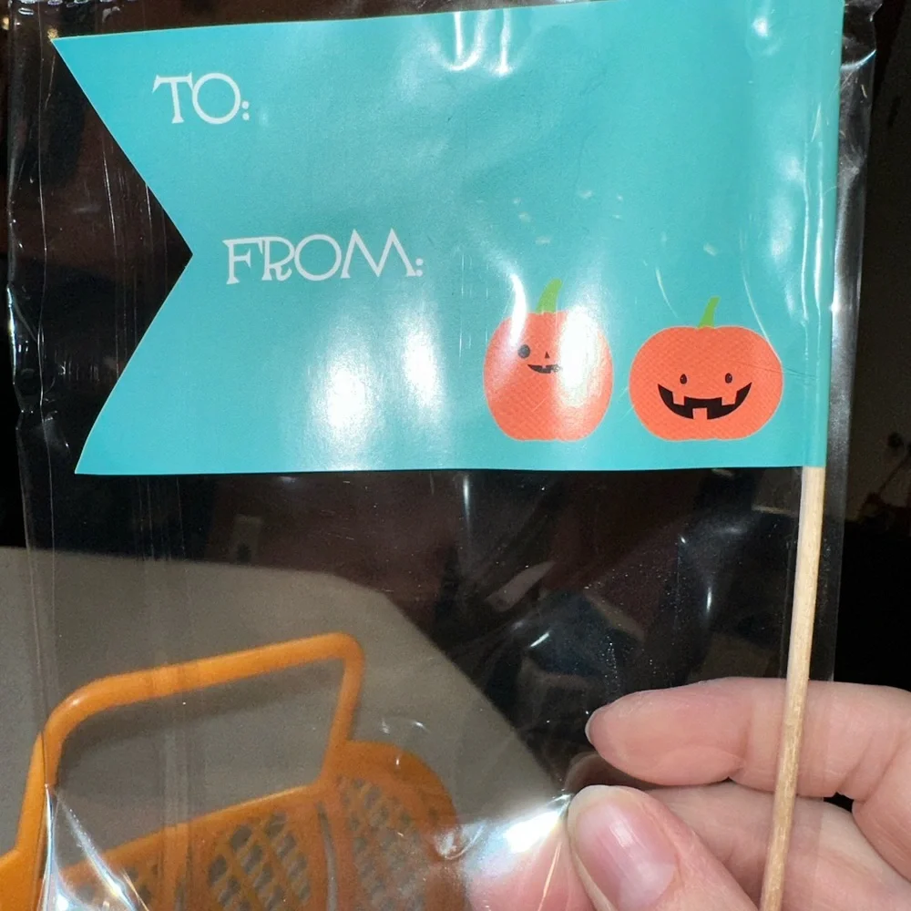 Target Bullseye 2023 Halloween Jelly Bag Pumpkin Basket